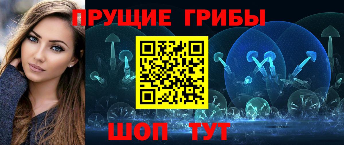 Карпинск  Псилоцибиновые грибы Psilocybine cubensis  Вход с VPN 